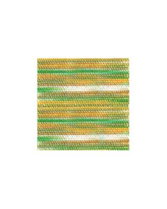 Madeira 2007 - AstroColor mt. 1000