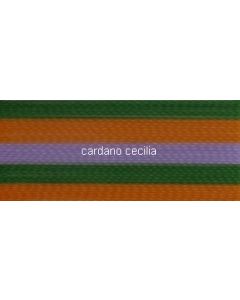 Madeira 2143 - Multicolor mt. 1000