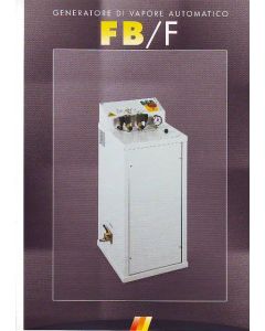 Generatore di vapore per elettroferri