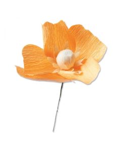 Fustella Sizzix Thinlits "Paparevo della California" - 664921