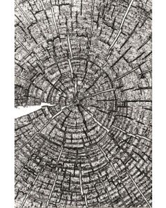 Fustella Sizzix Embossing Texture Fades 3D "Legno, anelli del tronco" - 666049