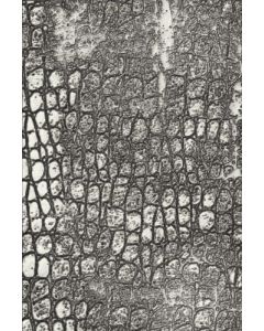Fustella Sizzix Embossing Texture Fades 3D "Rettile" - 666296