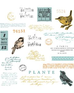 Fustella Sizzix Framelits "Canto degli uccelli" con timbri - 666704