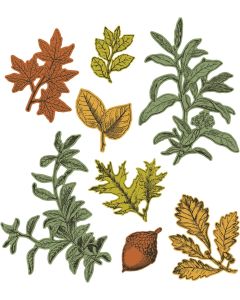 Fustella Sizzix Framelits "Foglie senza tempo" con timbri - 666706