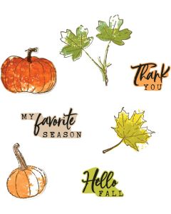 Fustella Sizzix Framelits "Raccolto disegnato a matita" con timbri - 666709