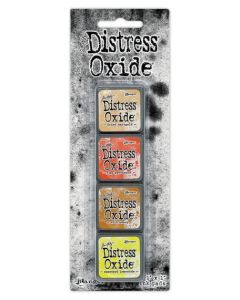 Mini tamponi di inchiostro Distress Oxide Tim Holtz - Kit 8