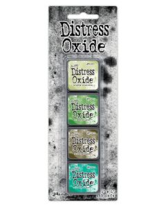 Mini tamponi di inchiostro Distress Oxide Tim Holtz - Kit 15