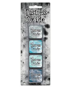 Mini tamponi di inchiostro Distress Oxide Tim Holtz - Kit 16